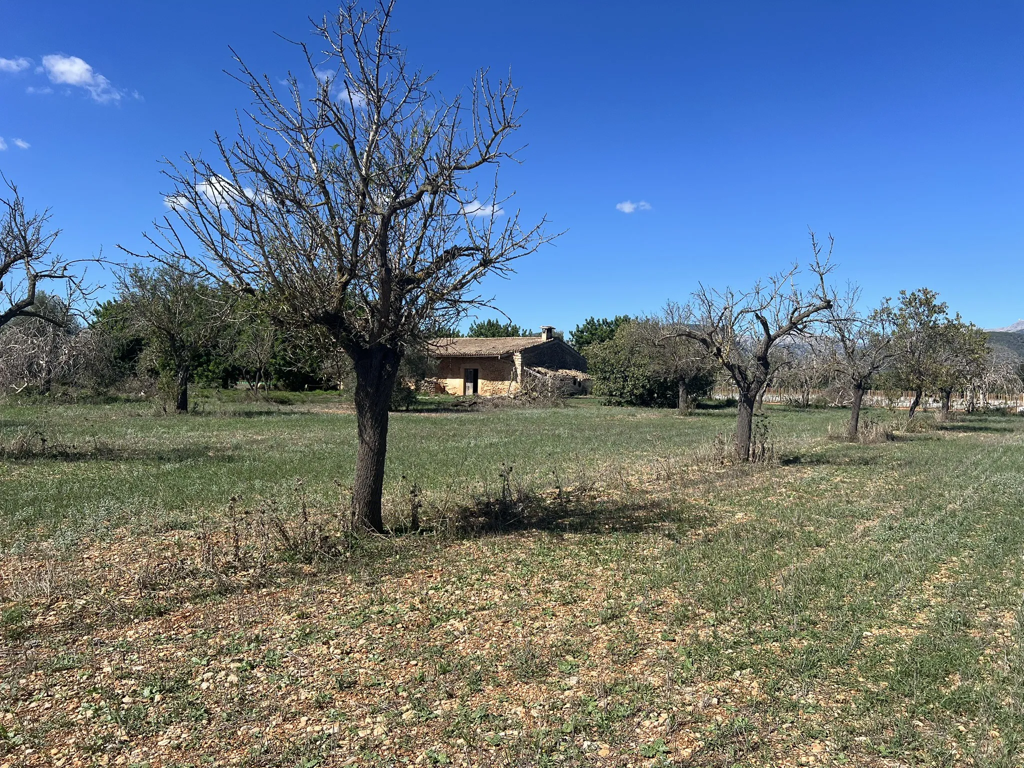 Modern finca-project met wijngaarden en uitzicht op het platteland-3