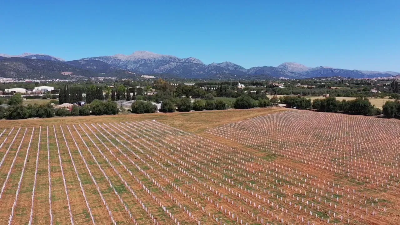 Modern finca-project met wijngaarden en uitzicht op het platteland-13