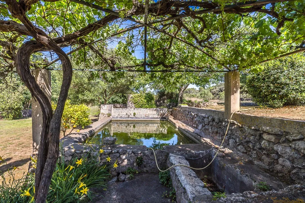 Authentic finca with mature trees-3