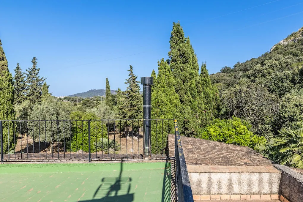 Authentic finca with mature trees-10