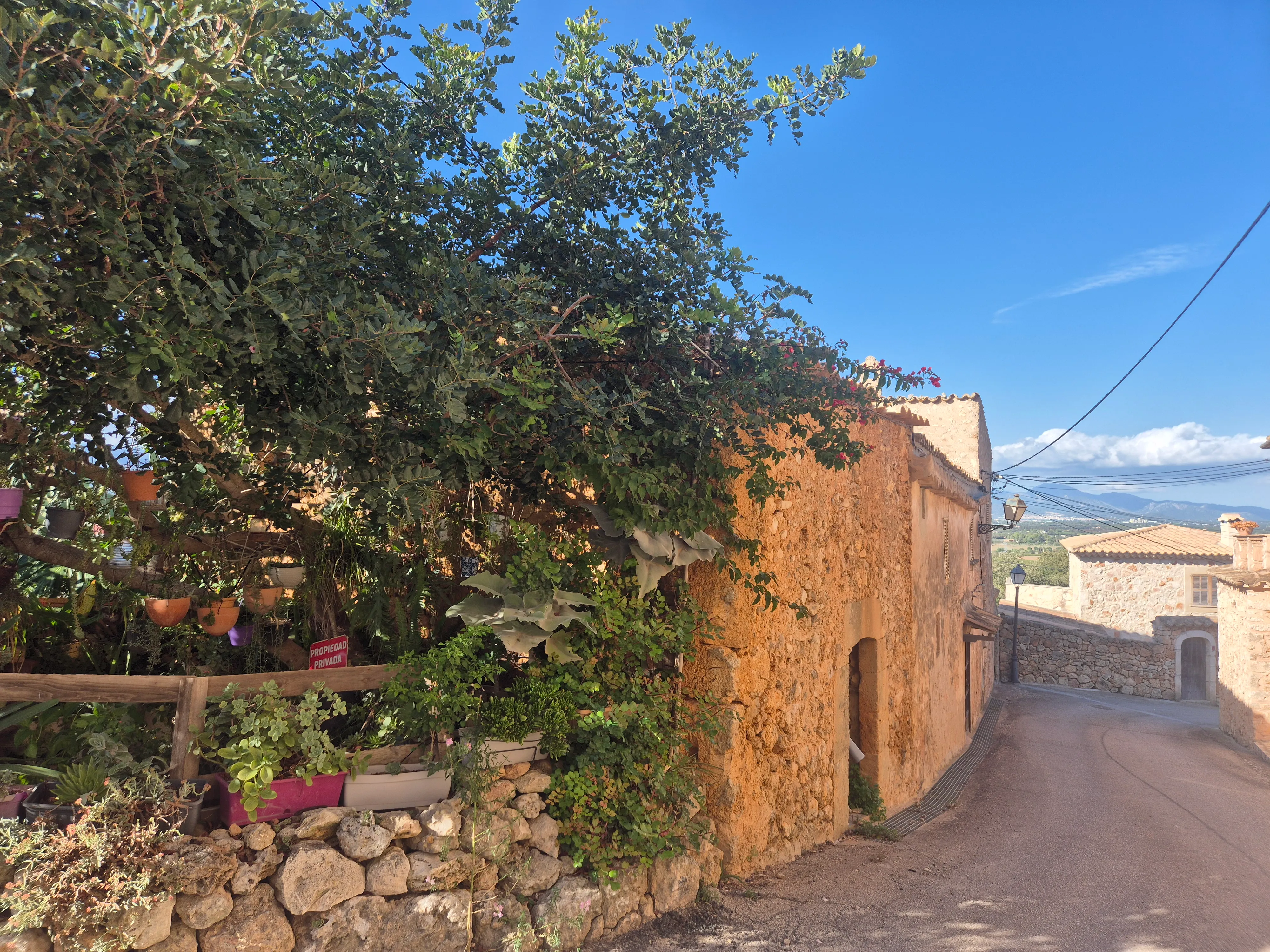 Property with building permission and wonderful view near Santa Maria-5