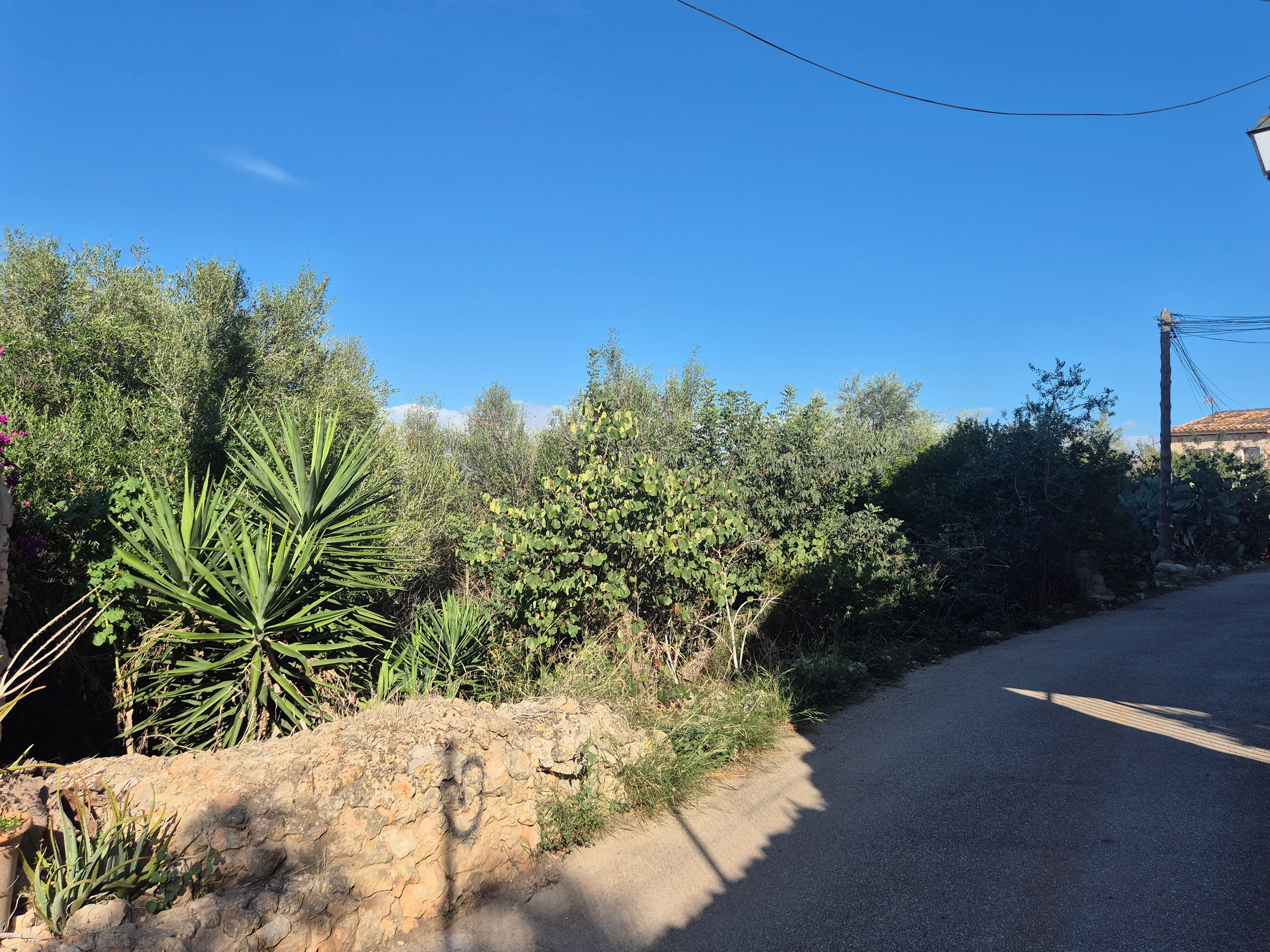 Property with building permission and wonderful view near Santa Maria-2
