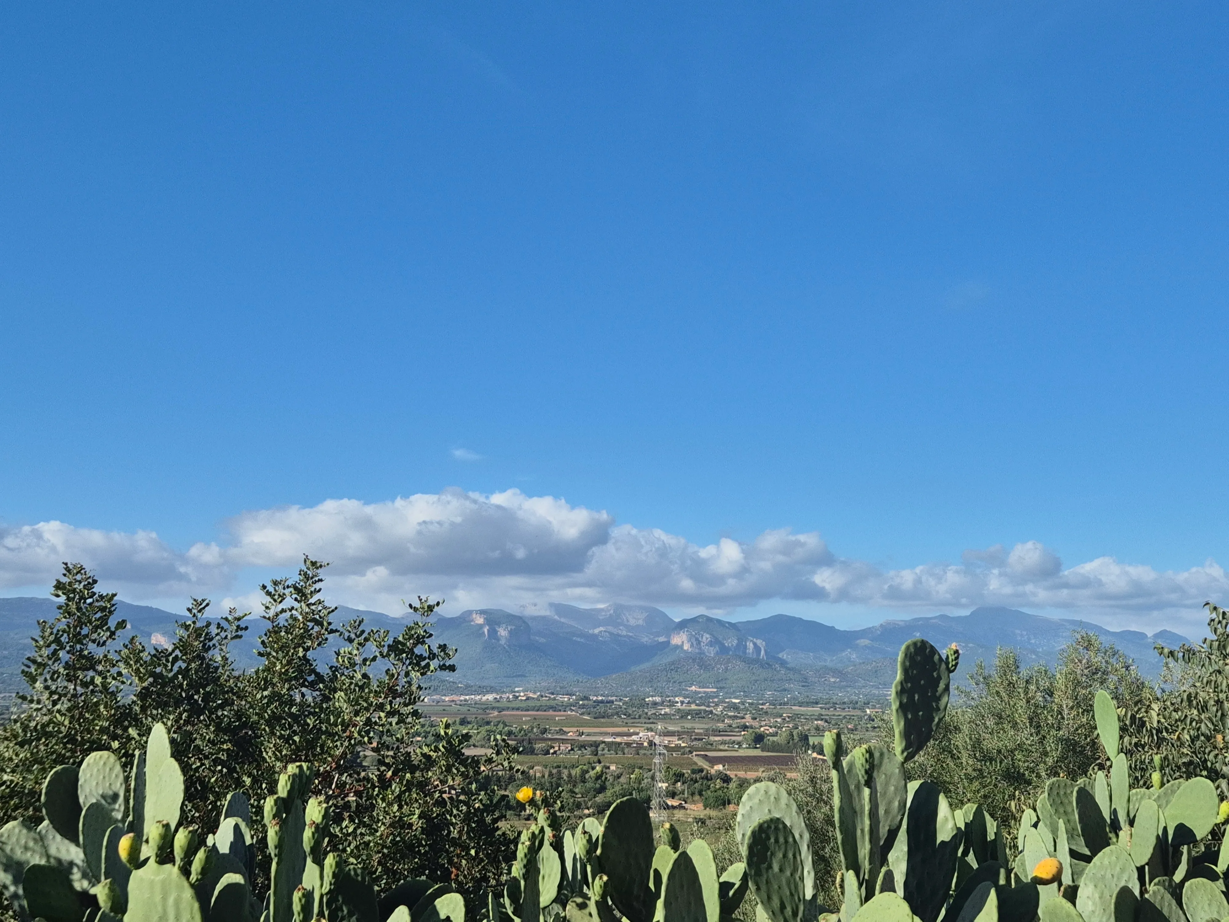 Property with building permission and wonderful view near Santa Maria-3