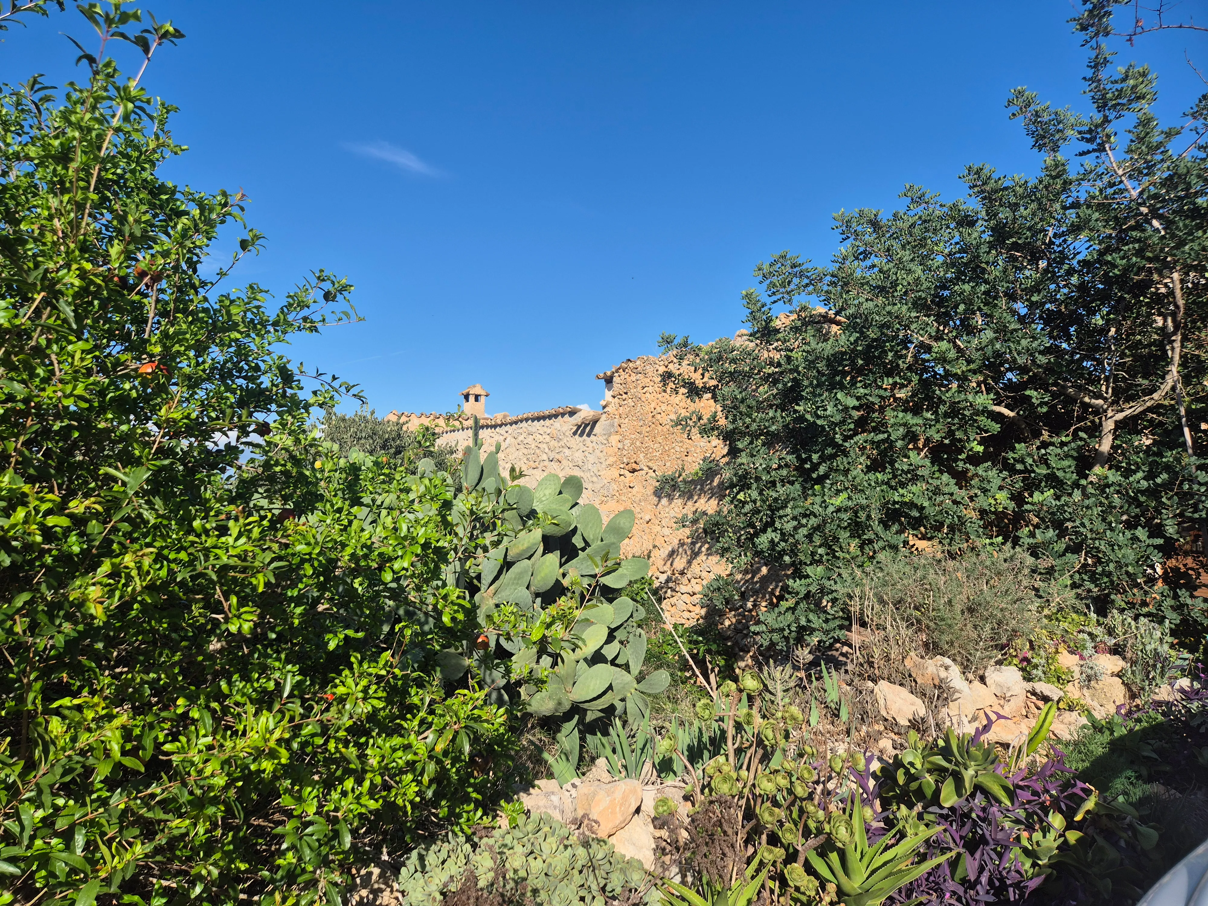 Property with building permission and wonderful view near Santa Maria-1