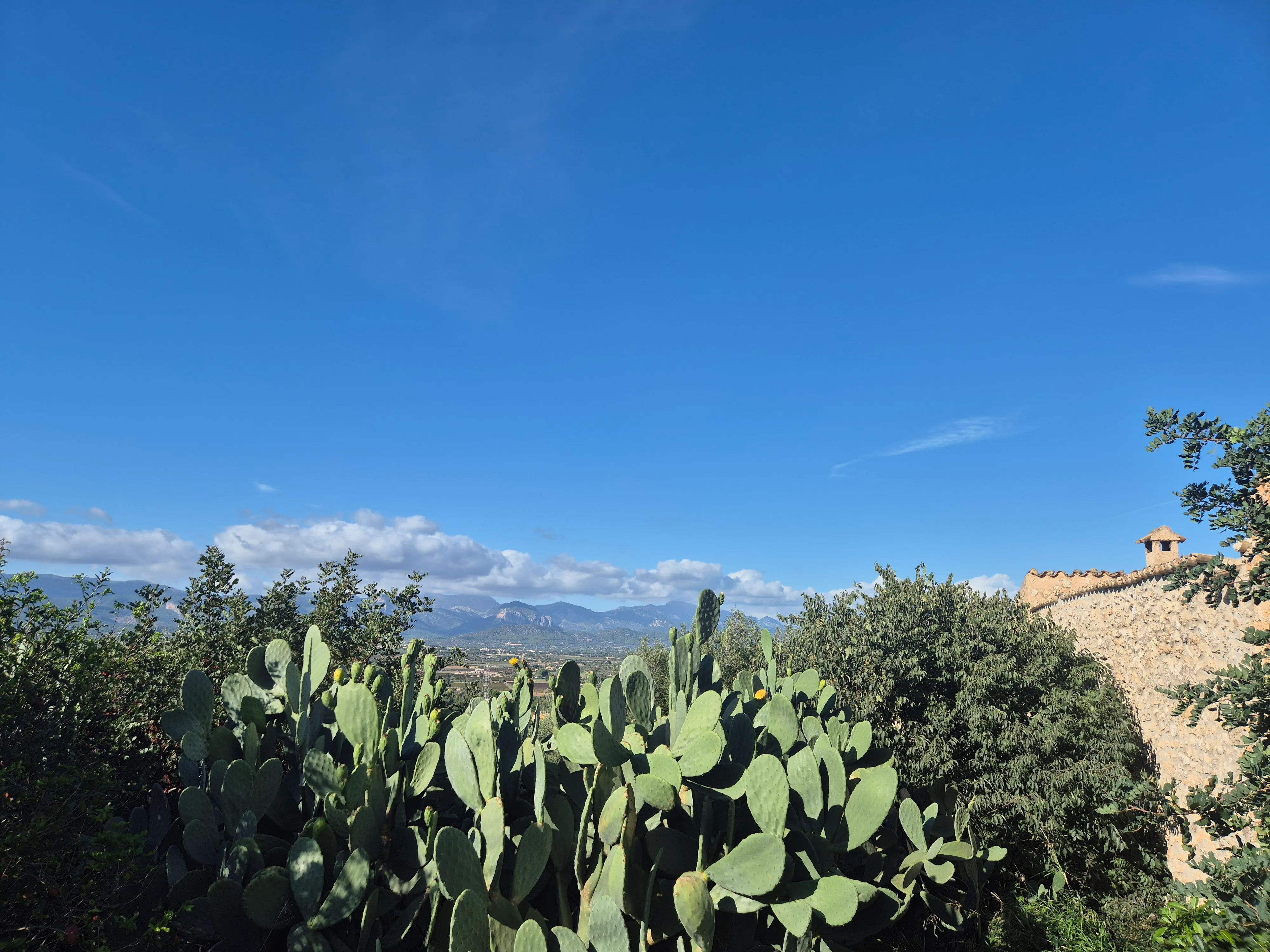 Property with building permission and wonderful view near Santa Maria-6