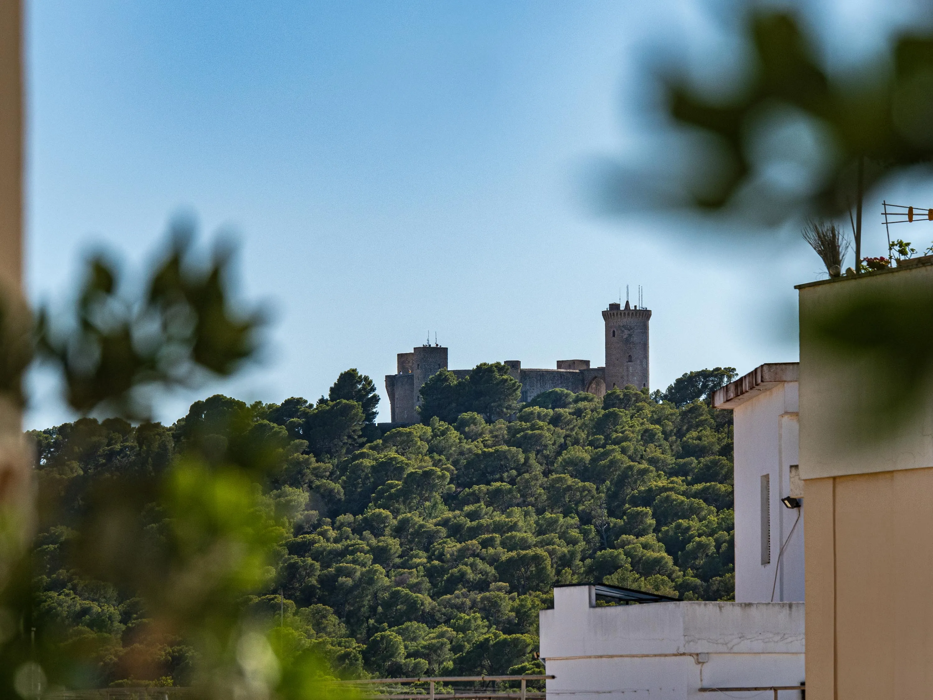 Величественная вилла 1940-х годов с садом-оазисом и панорамной башней в Сон-Армадамсе-20