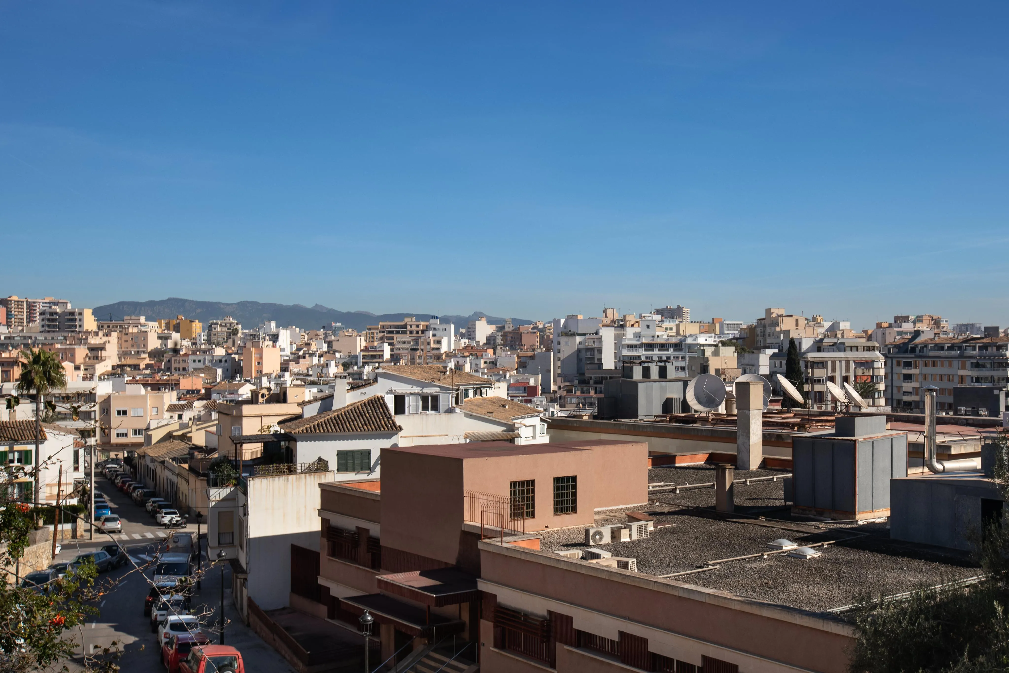 Villa signorile degli anni '40 con giardino oasi e torre panoramica a Son Armadams-7