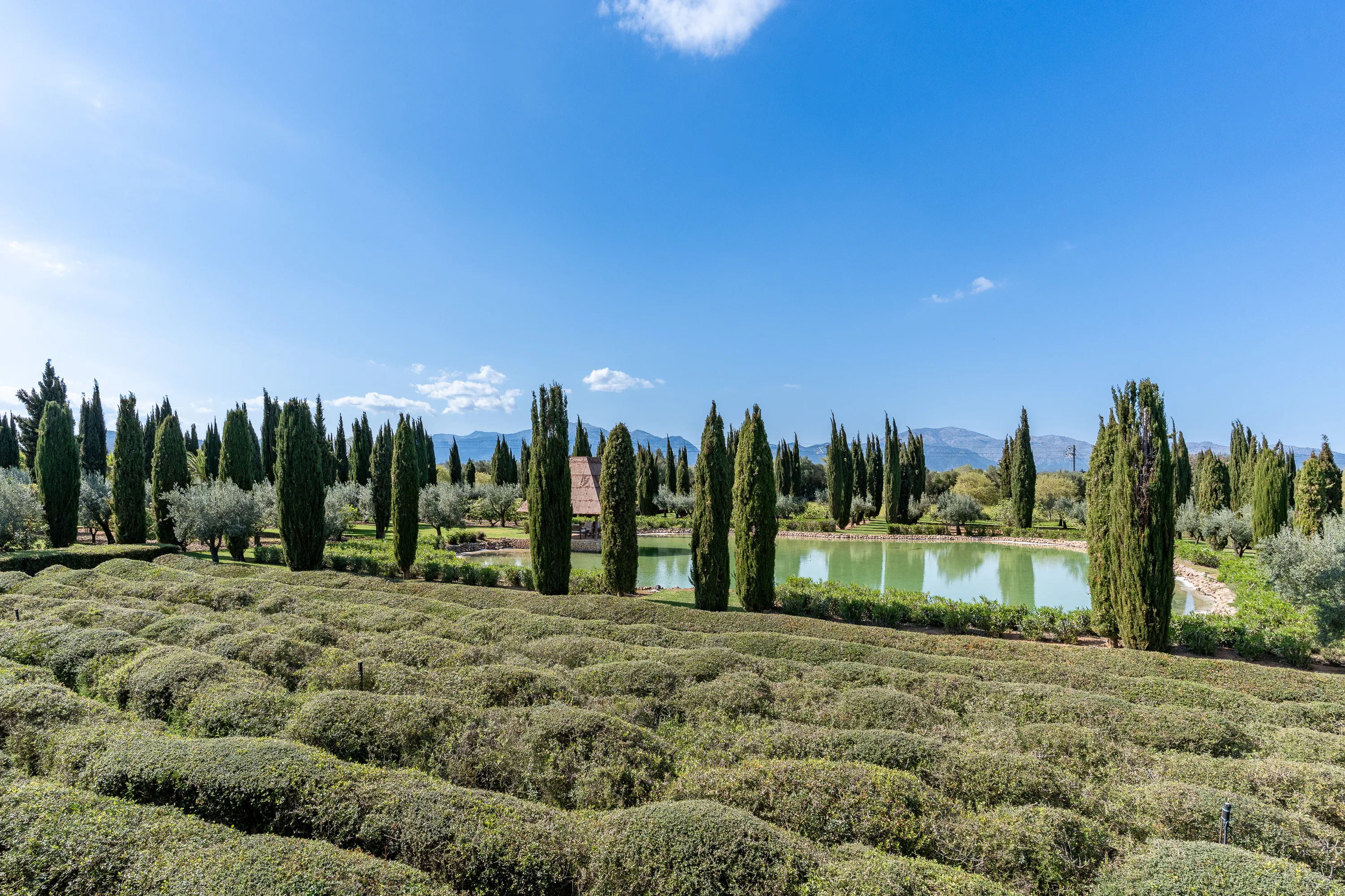 Luxe woning met absolute privacy-19