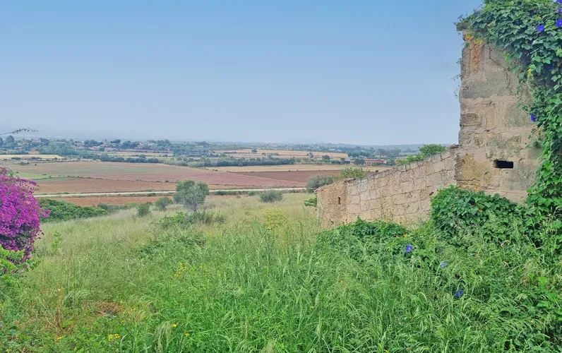 Możliwość inwestycji w Santa Eugenia