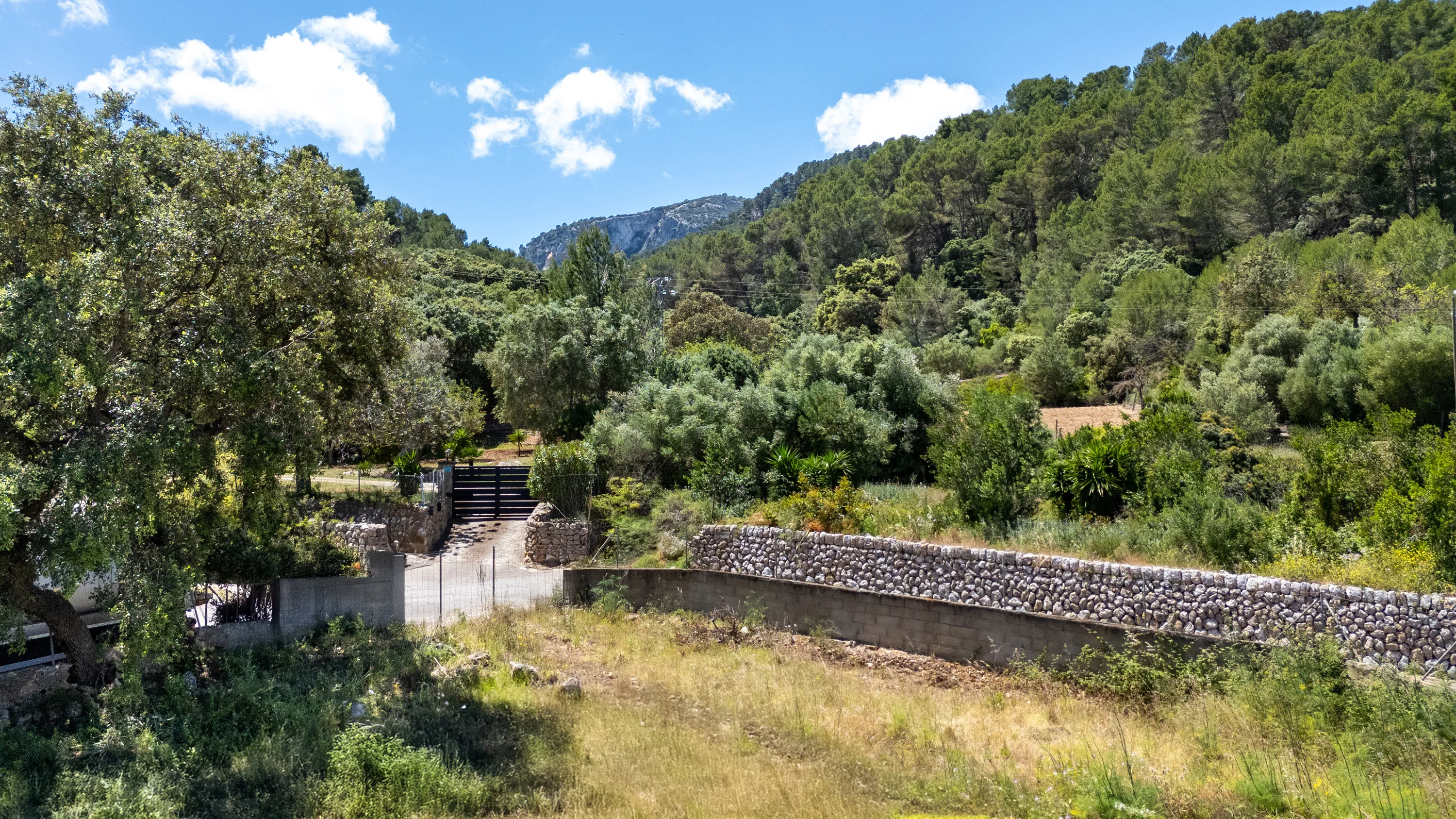 Building plot with privacy, views, and a south-facing orientation in Esporles-2