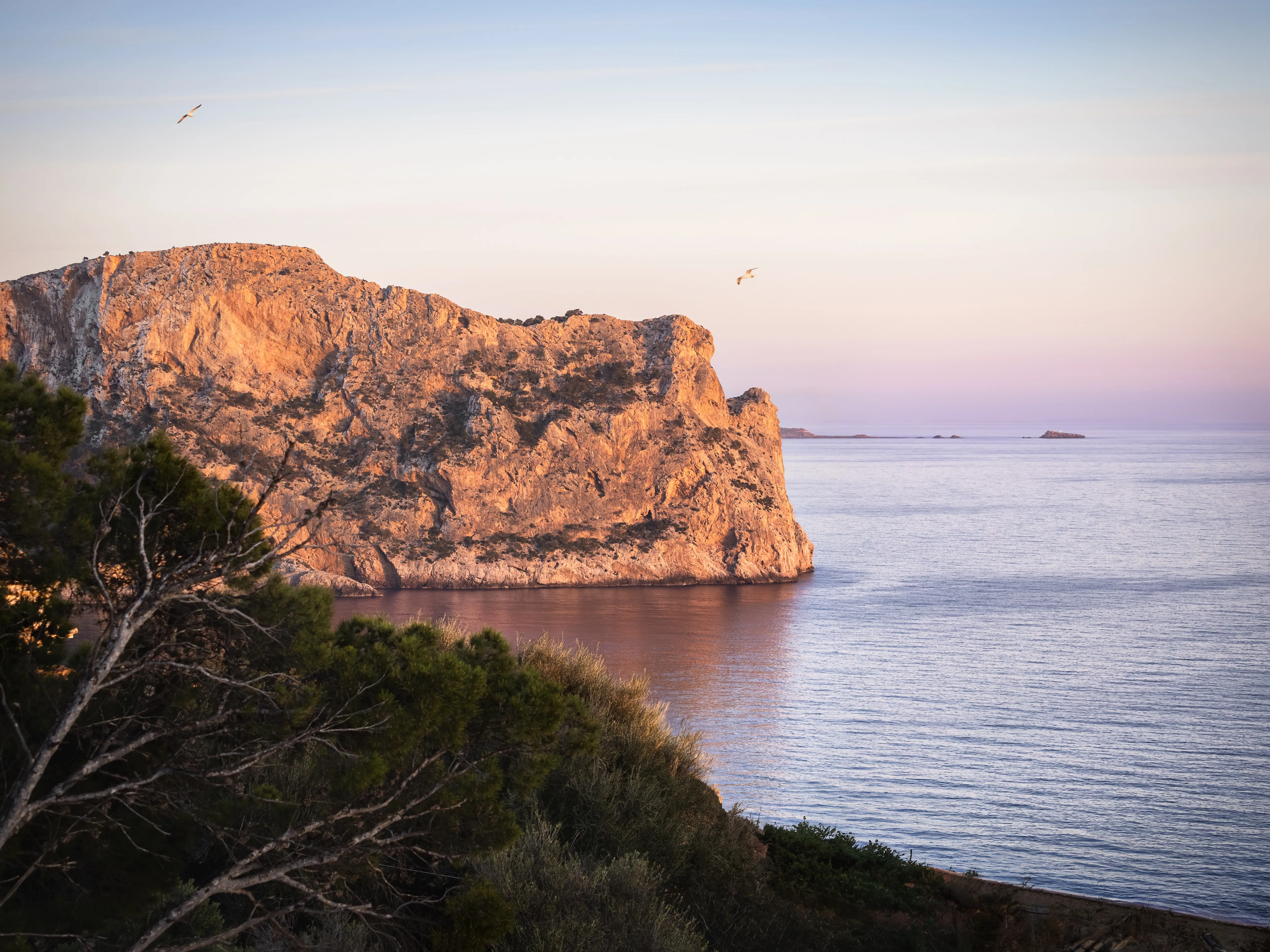 Ático con vistas 360° sobre el mar y el puerto-25