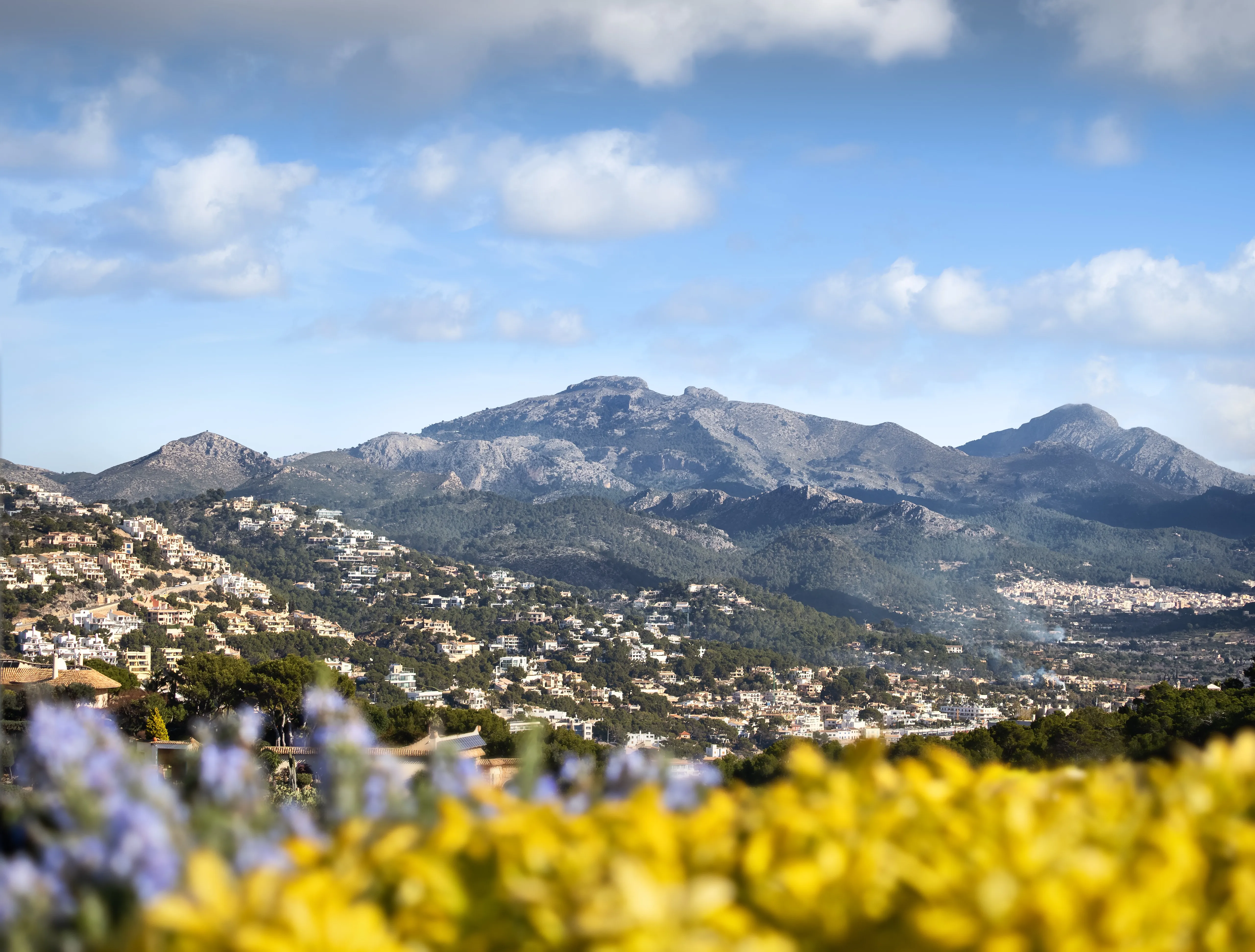 Ático con vistas 360° sobre el mar y el puerto-26