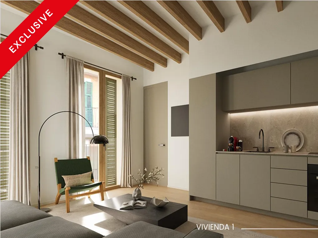 Cozy apartment in a renovated, historic townhouse-1