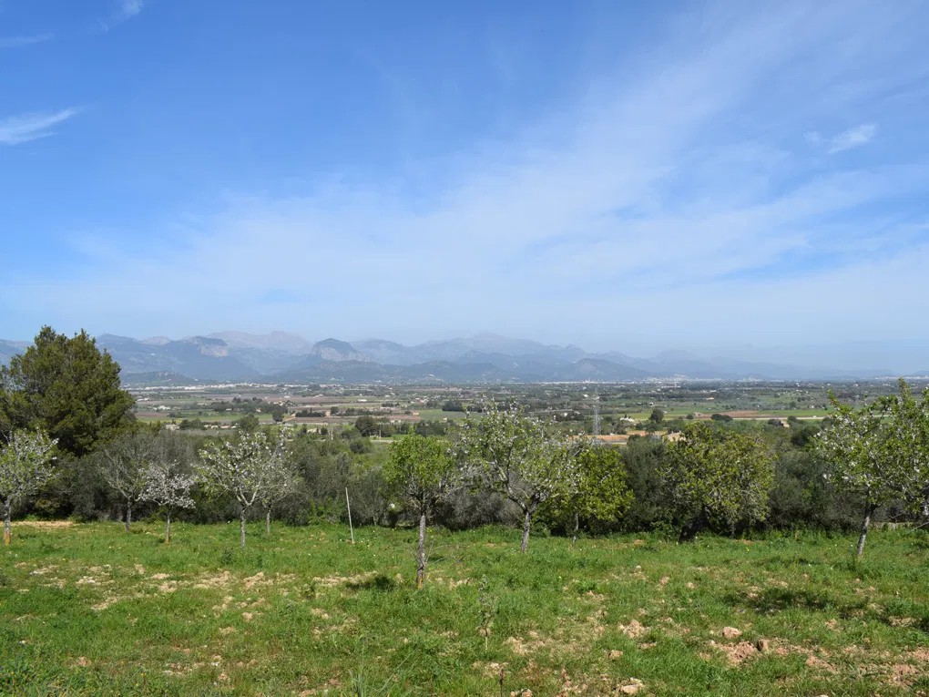 Plot with stunning views near Santa Maria-1
