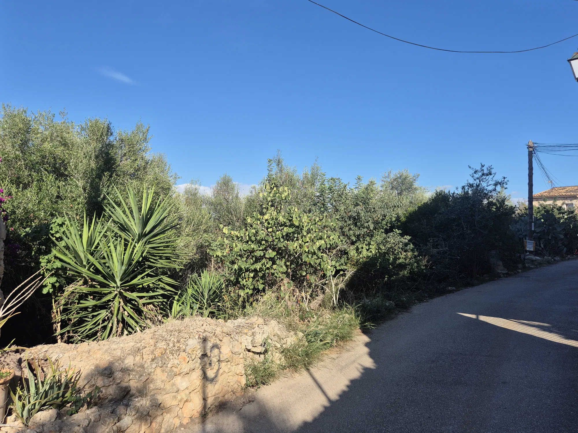 Plot with stunning views near Santa Maria-3