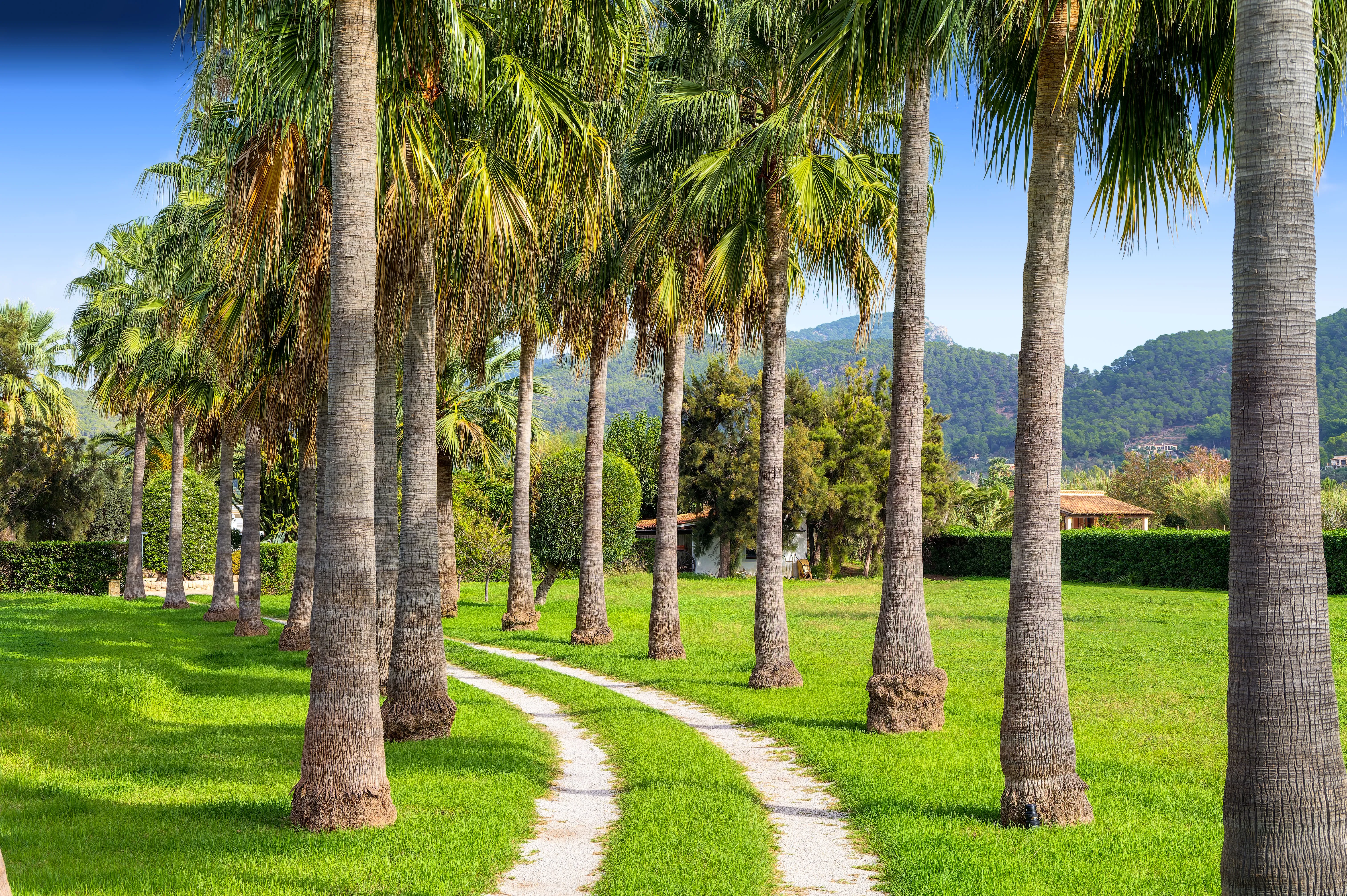 Private Finca in walking distance to the port-12