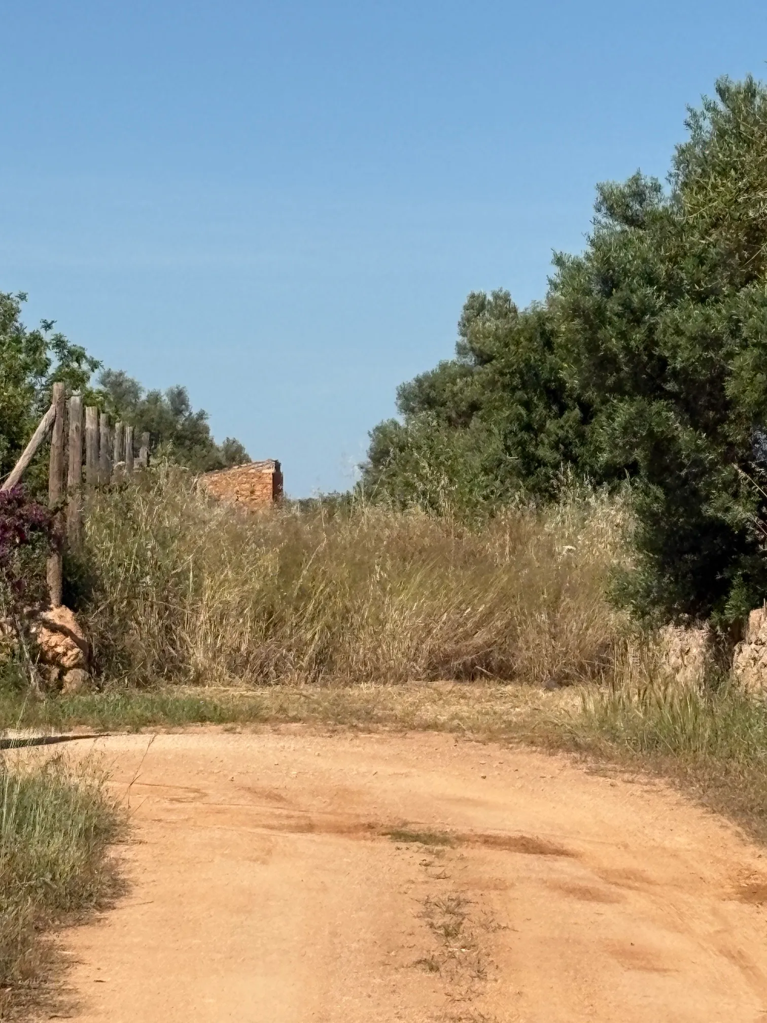 Building plot in prime location in Santa María del Camí-4
