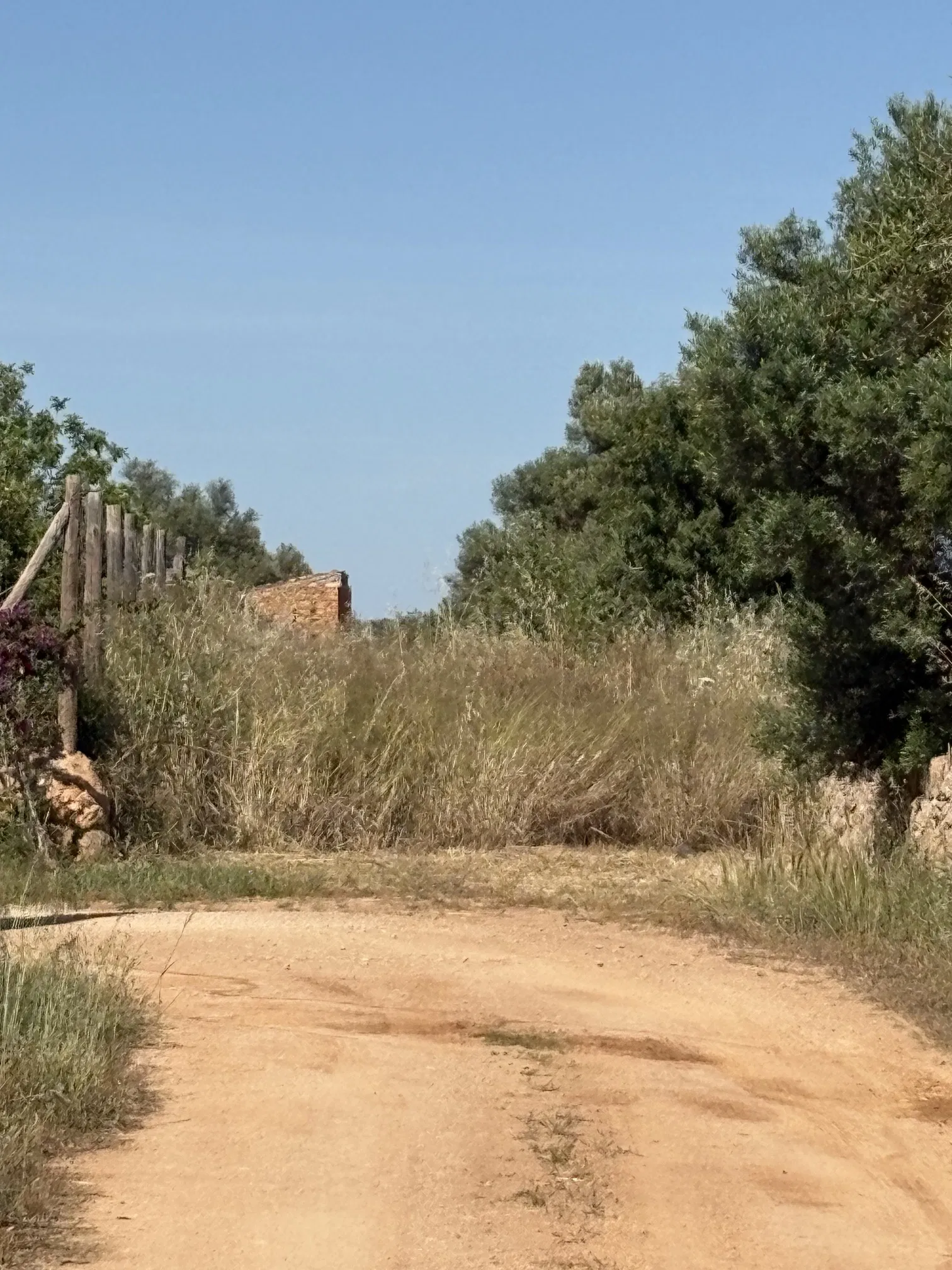 Building plot in prime location in Santa María del Camí-4