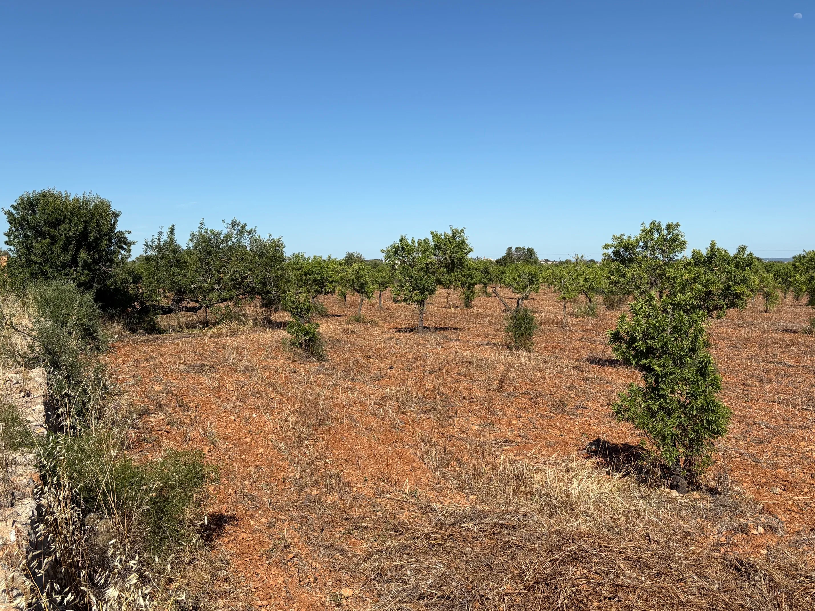 Building plot in prime location in Santa María del Camí-7