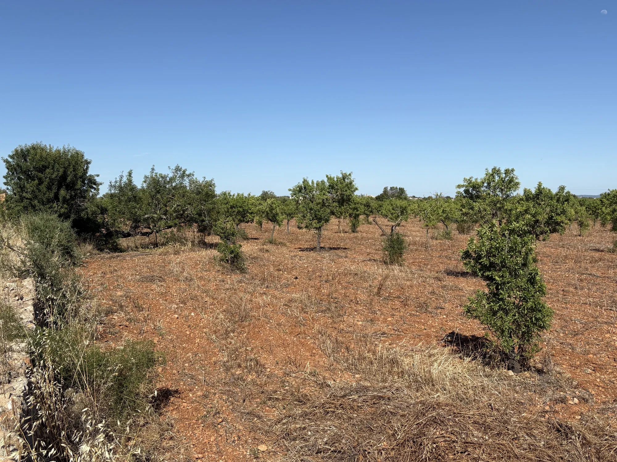 Building plot in prime location in Santa María del Camí-7
