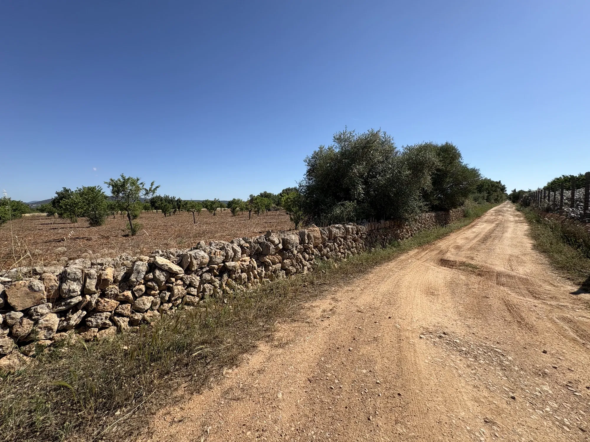 Building plot in prime location in Santa María del Camí-9