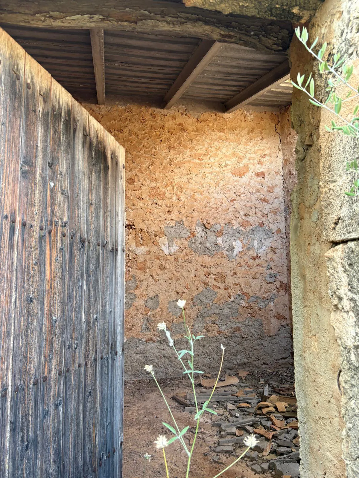 Building plot in prime location in Santa María del Camí-11