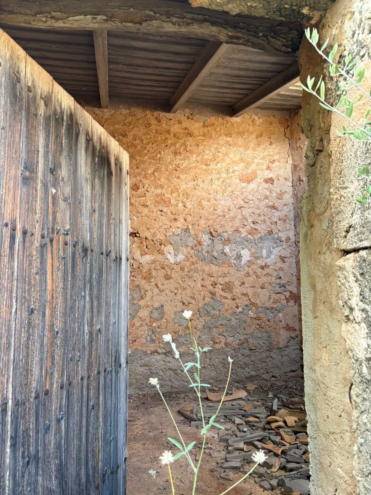Building plot in prime location in Santa María del Camí-11
