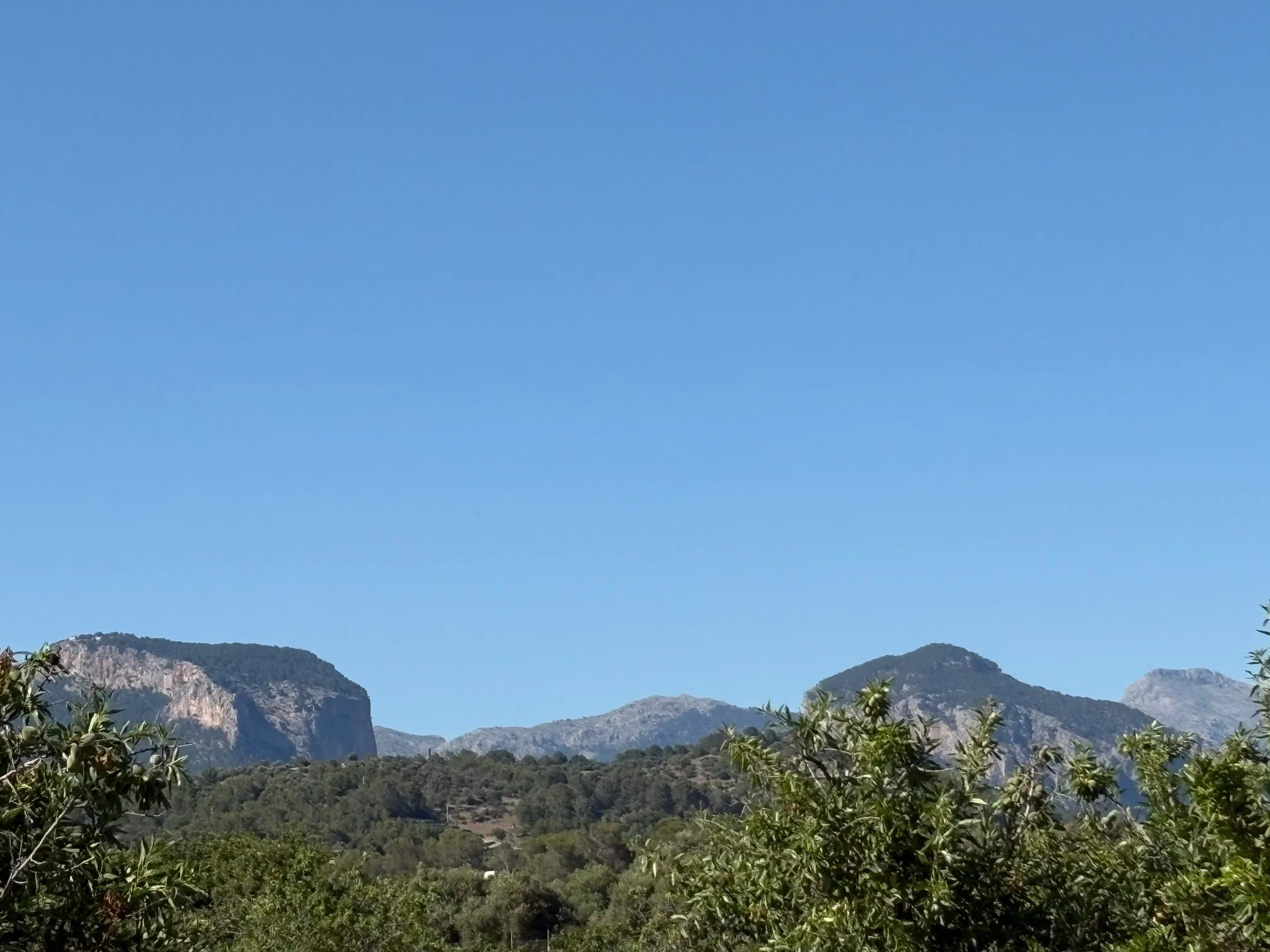 Building plot in prime location in Santa María del Camí-1