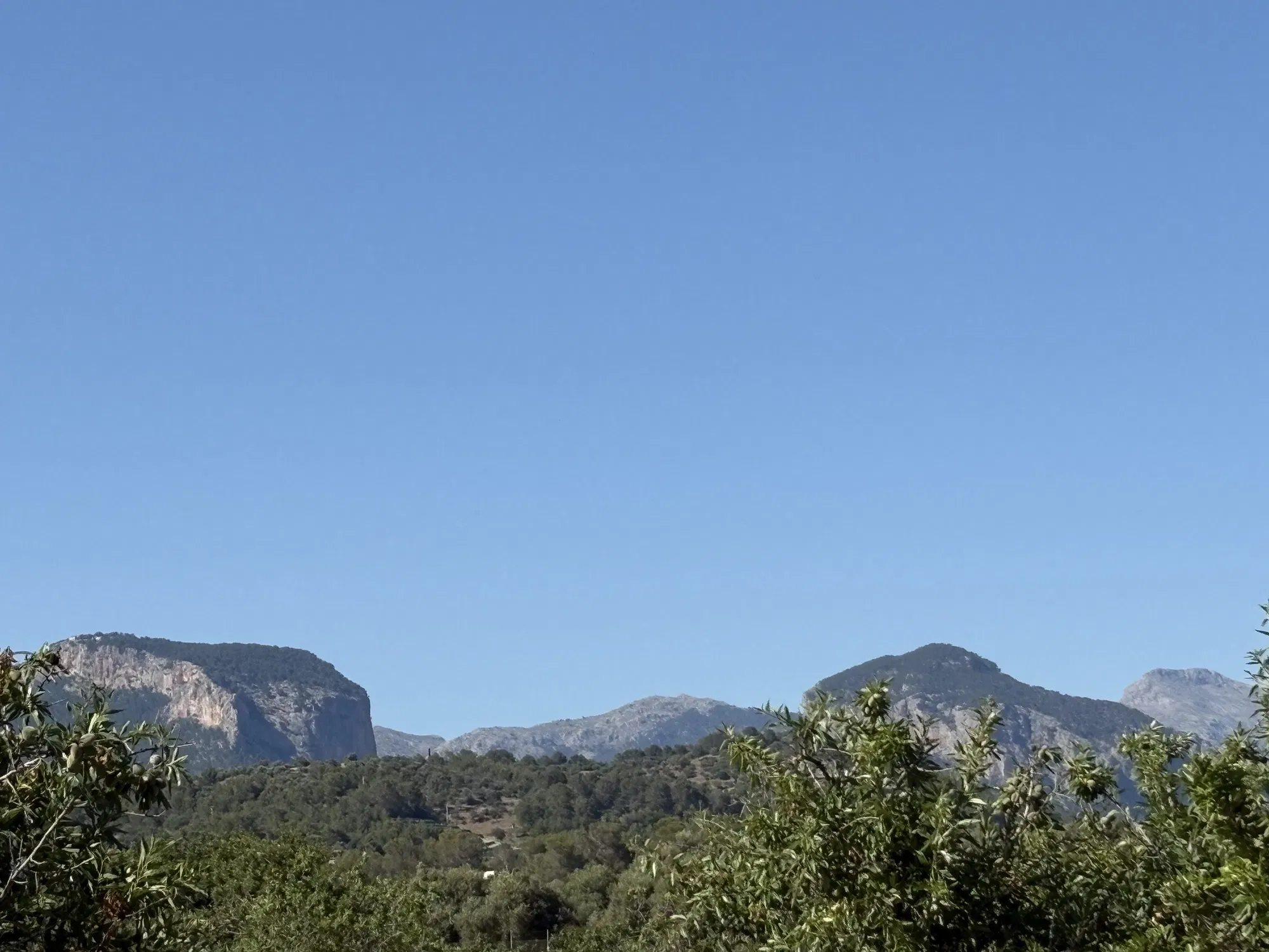 Building plot in prime location in Santa María del Camí-1