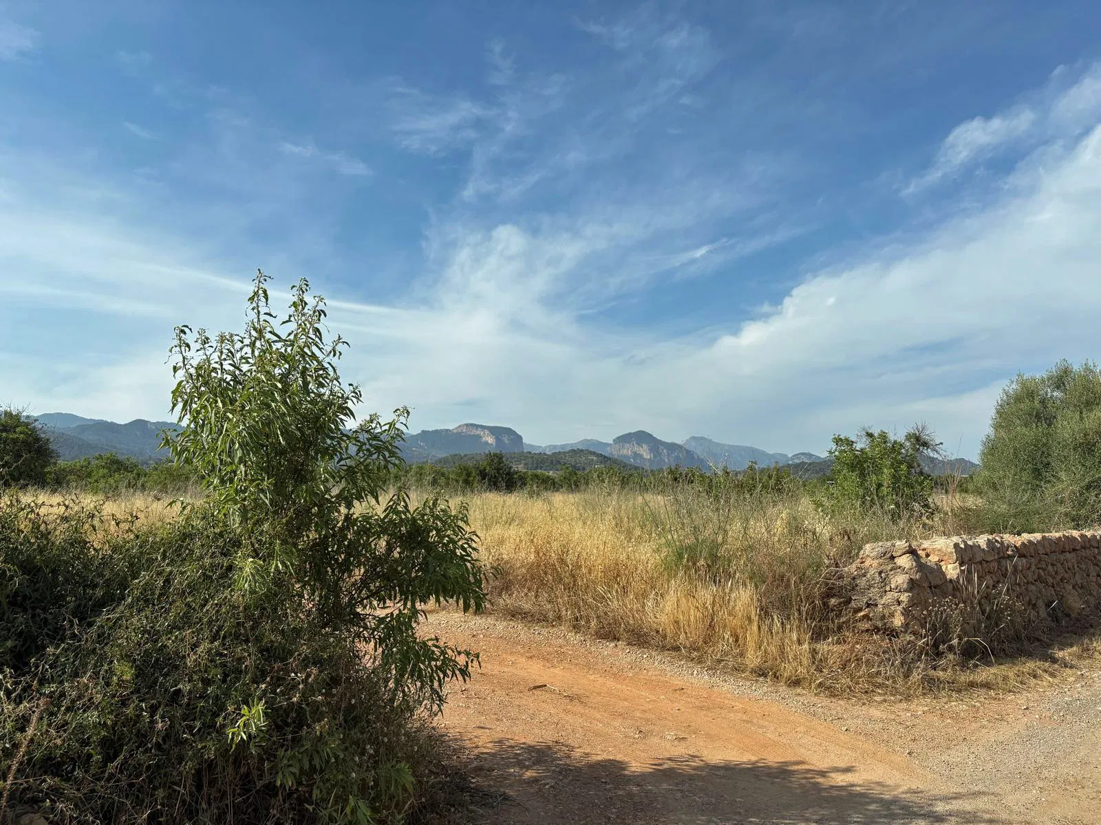 Building plot in prime location in Santa María del Camí-3