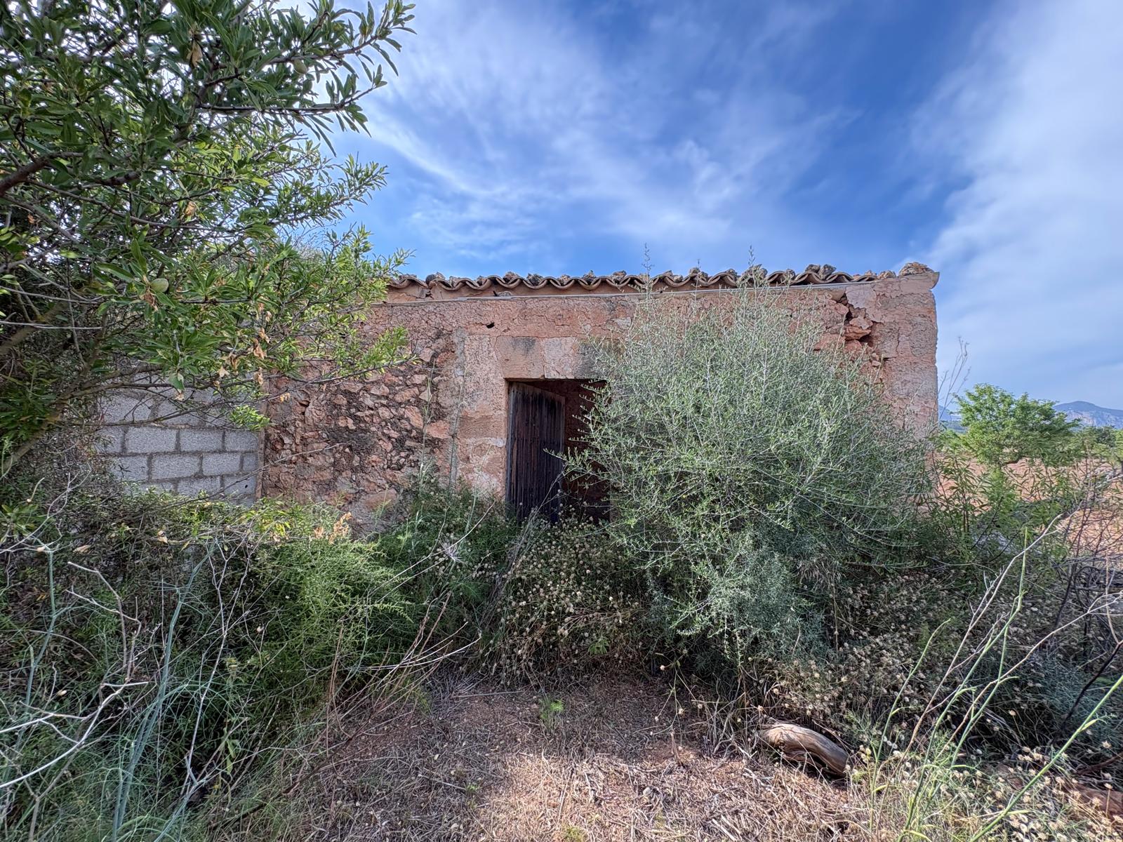 Building plot in prime location in Santa María del Camí-10