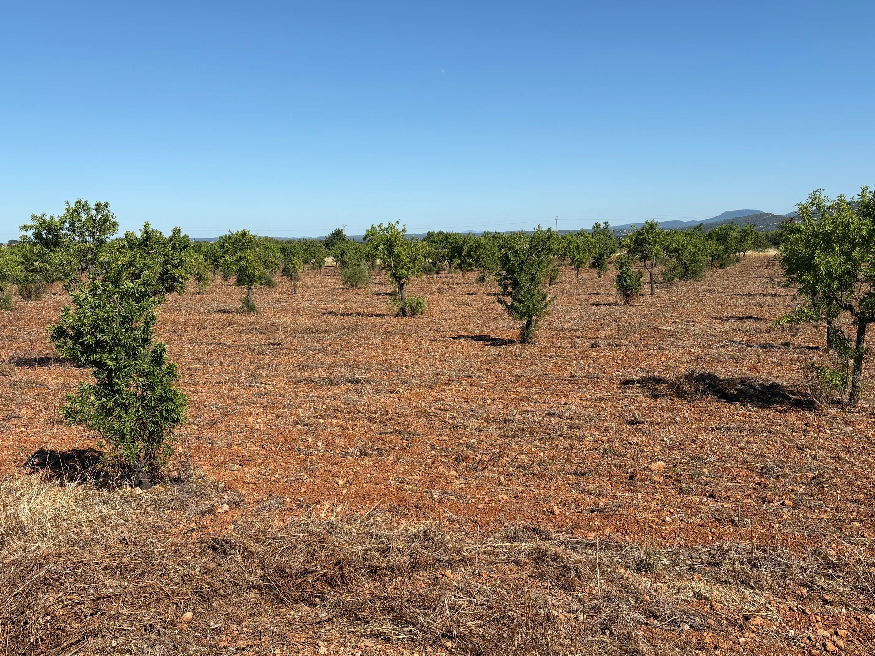 Building plot in prime location in Santa María del Camí-6