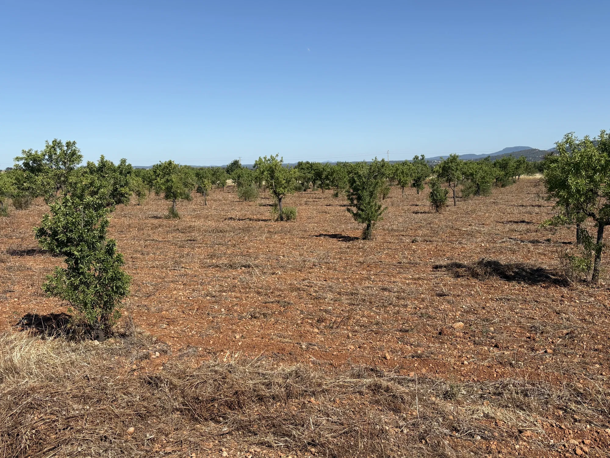 Building plot in prime location in Santa María del Camí-6