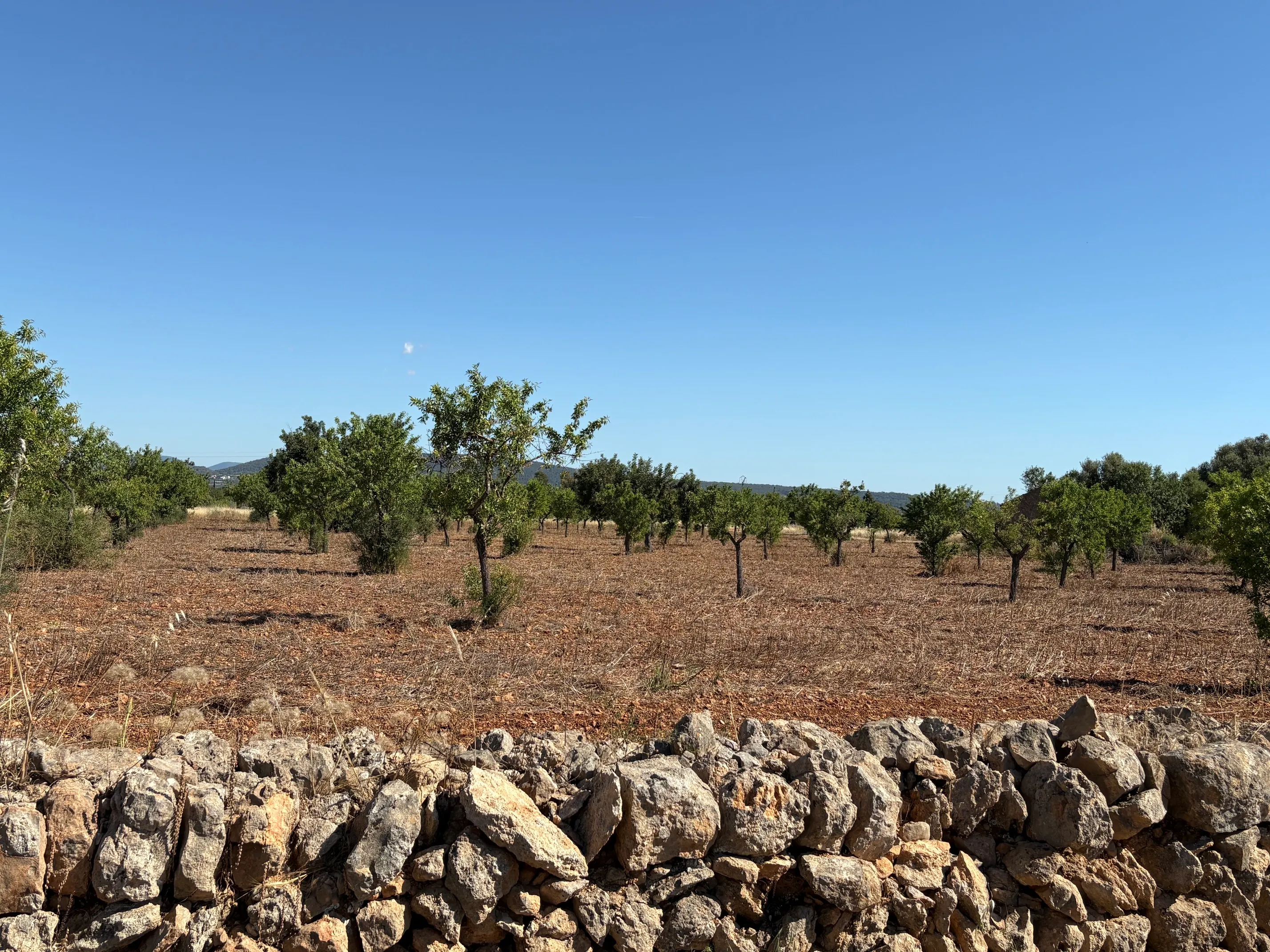 Building plot in prime location in Santa María del Camí-5