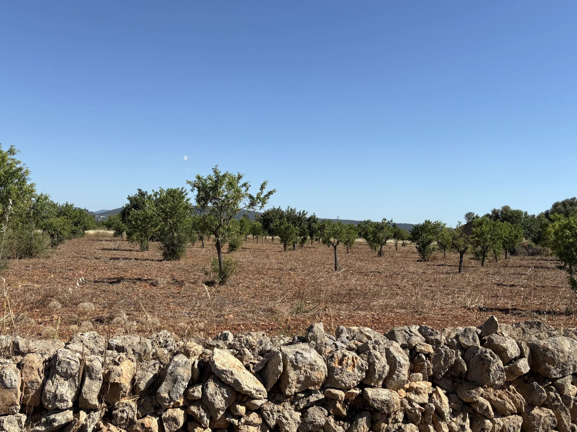 Building plot in prime location in Santa María del Camí-5