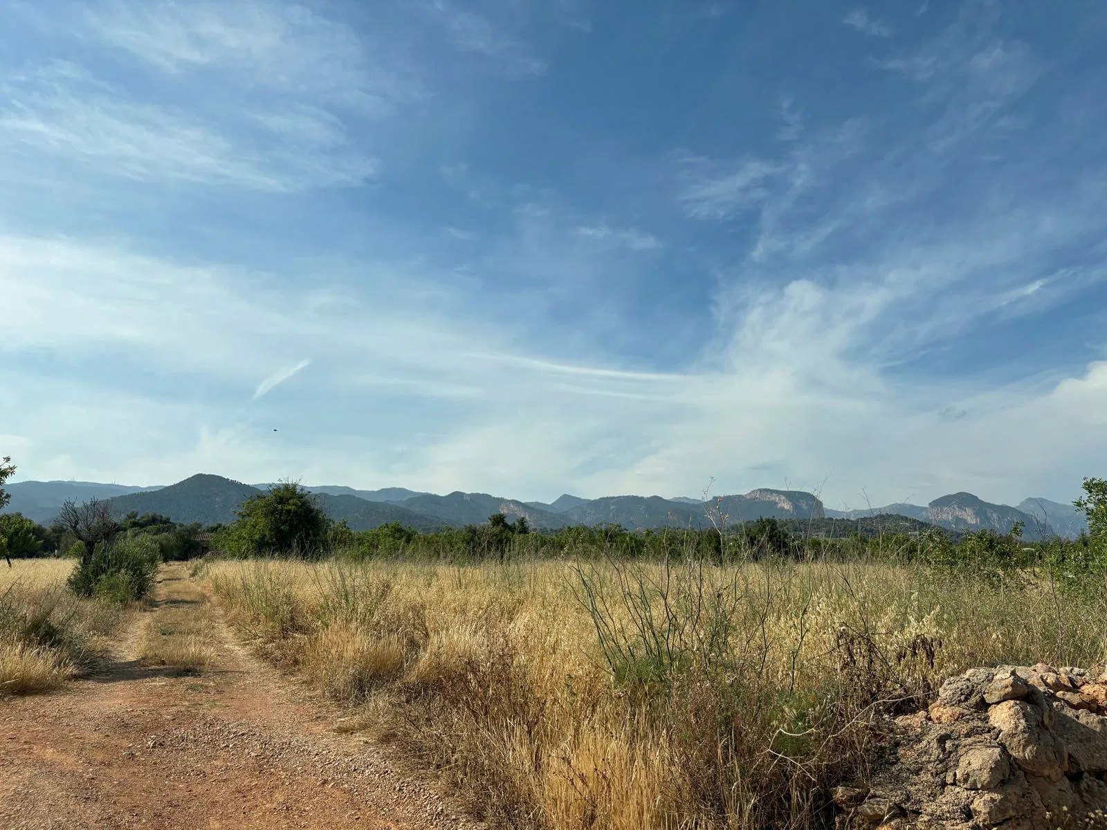 Building plot in prime location in Santa María del Camí-2