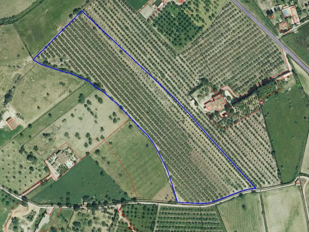 Building land for a large country home-1