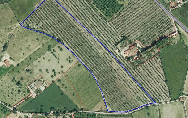 Działka pod budowę dużego wiejskiego domu