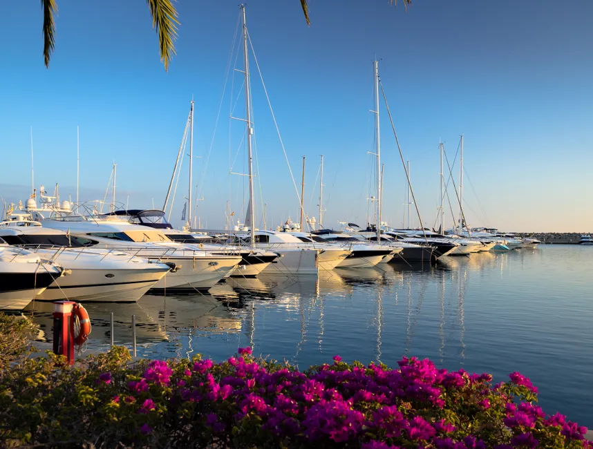 Ferienvilla in Portals Nous in Strandnähe-4