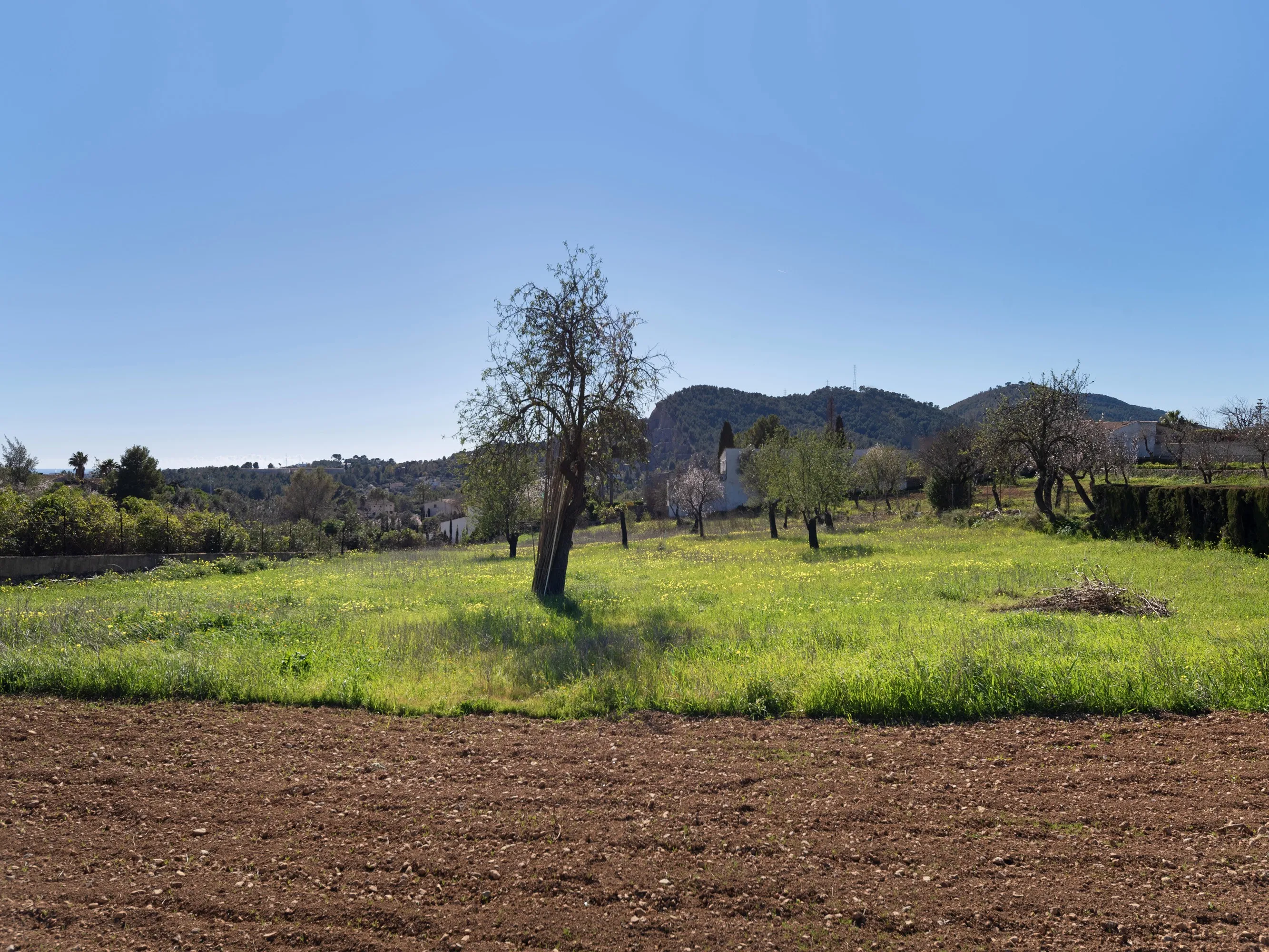 Fritliggende landsbyhus til renovering i Establiments-13