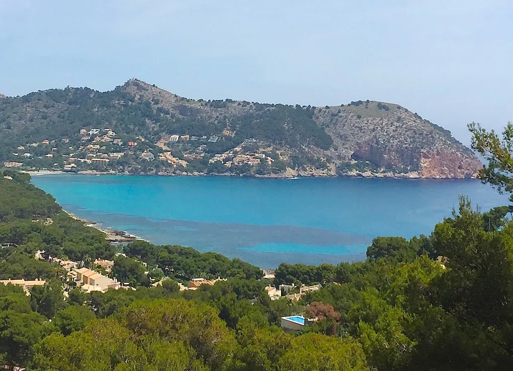 Parcela con proyecto en ubicación favorecida-3