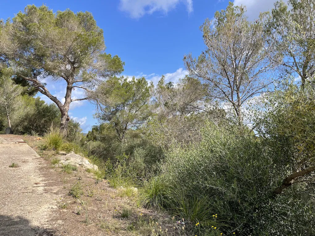 Parcel·la exclusiva amb llicència d'obres per a una nova vila, amb vistes panoràmiques i al mar.-5