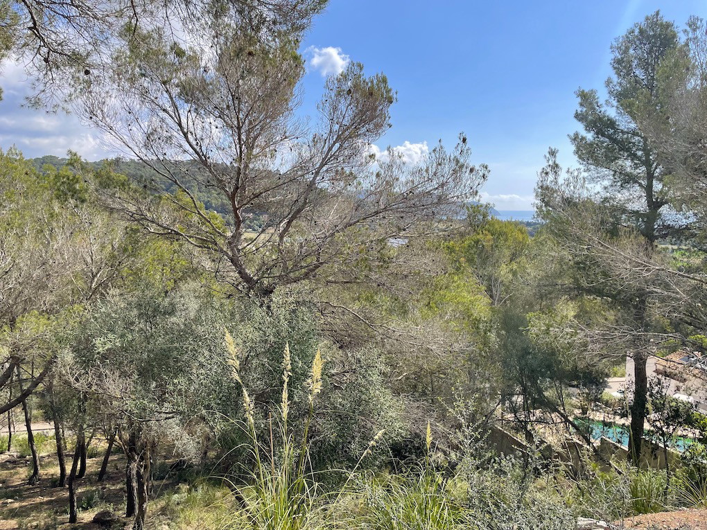 Parcel·la exclusiva amb llicència d'obres per a una nova vila, amb vistes panoràmiques i al mar.-2