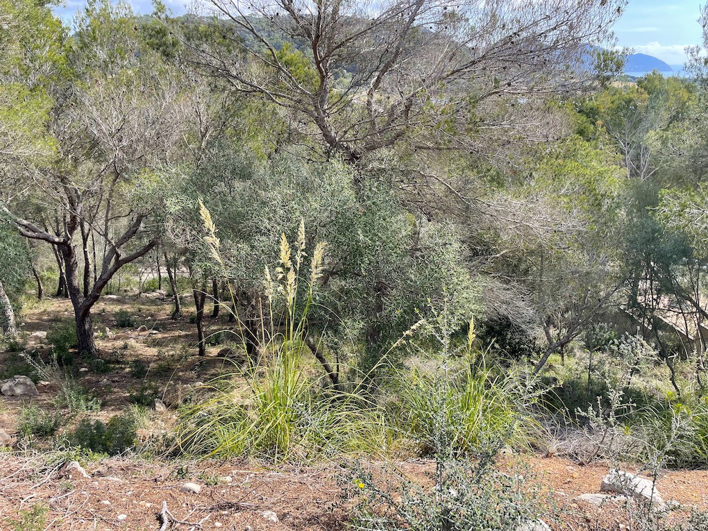 Parcel·la exclusiva amb llicència d'obres per a una nova vila, amb vistes panoràmiques i al mar.-6