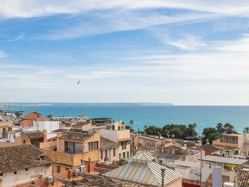 Exceptional designer penthouse, newly renovated, with terraces and sea views-2