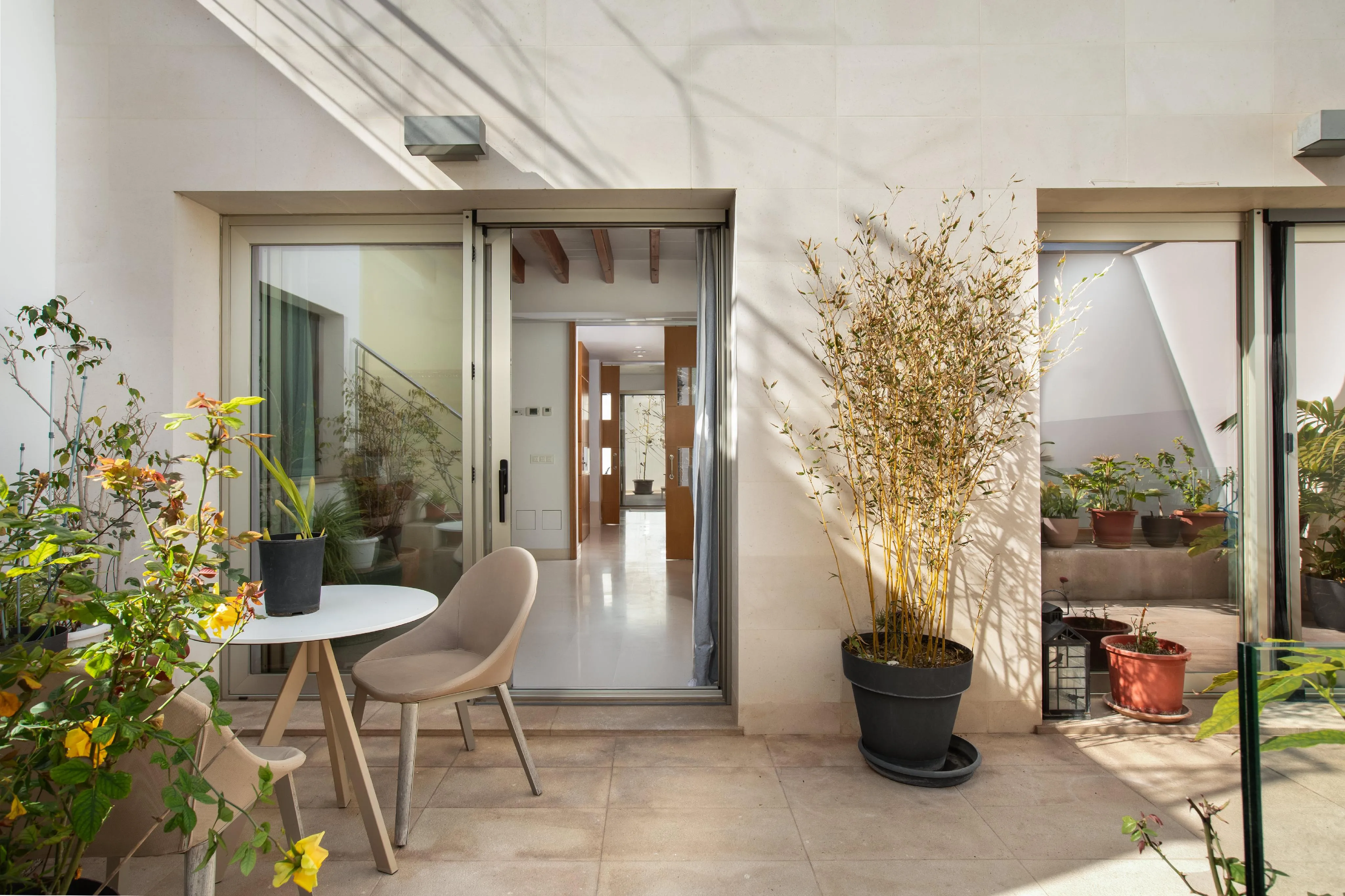 Vila moderna amb apartament independent a El Terreno-9