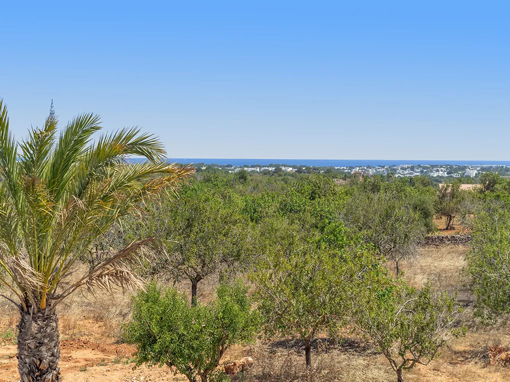 Finca moderna amb jardí ampli i vistes obertes-14