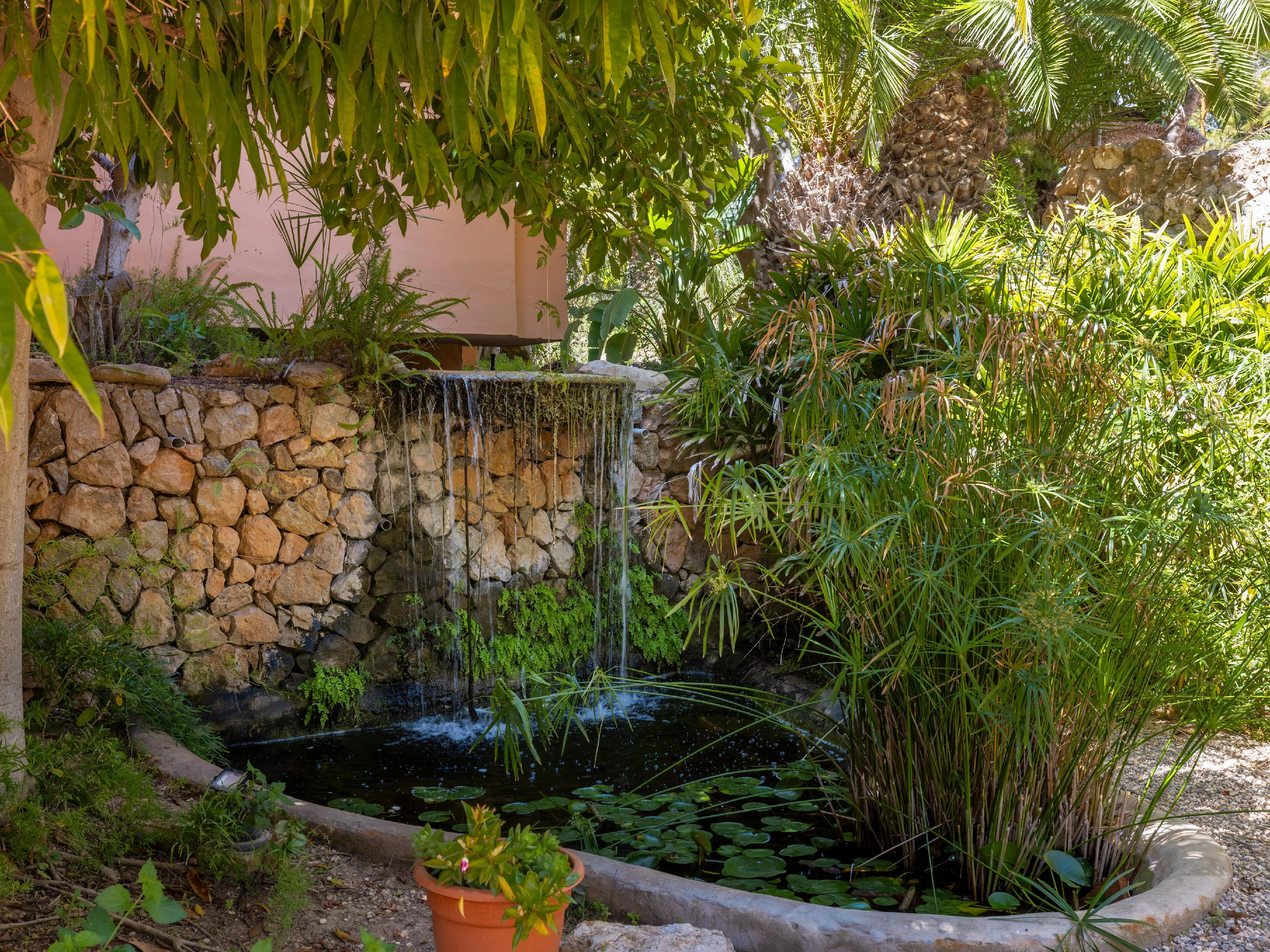 Ambiente mediterráneo en Santa Ponsa-9