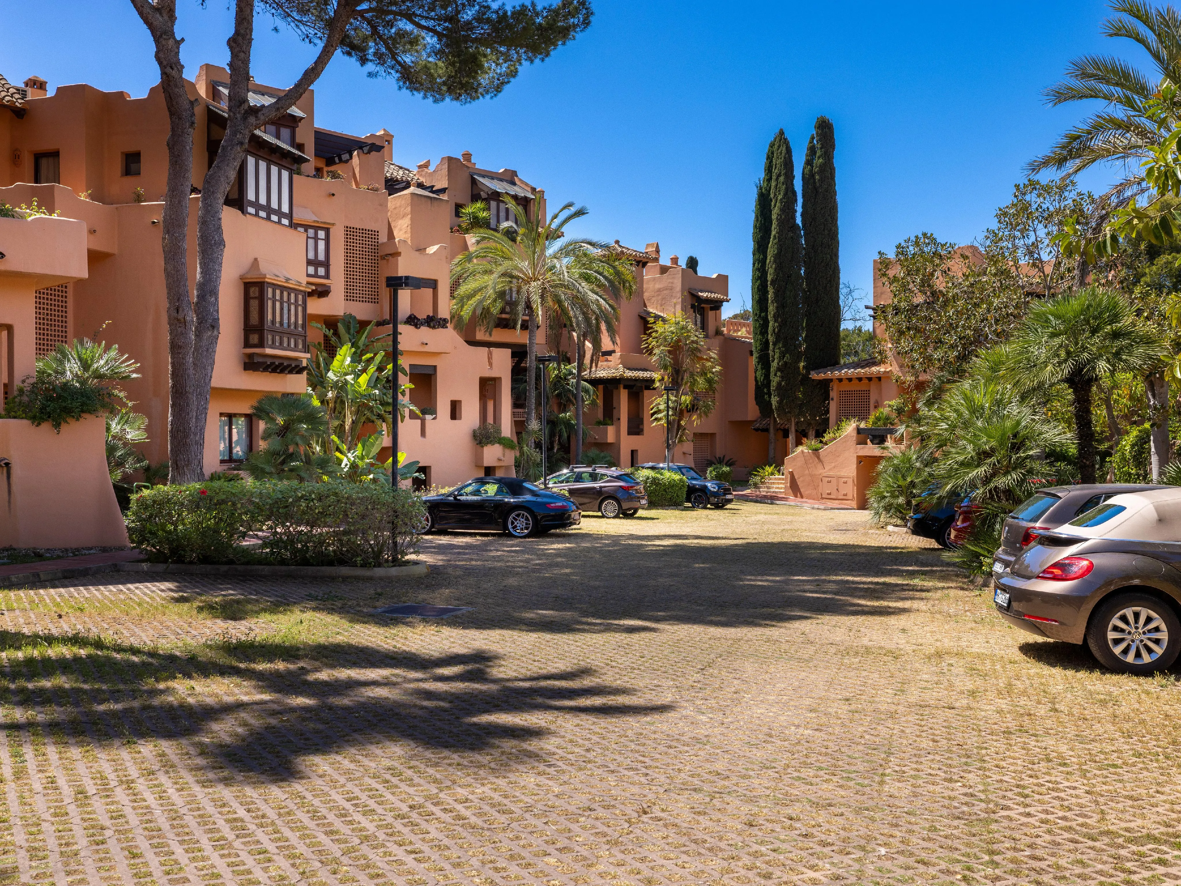 Ambient mediterrani a Santa Ponsa-10