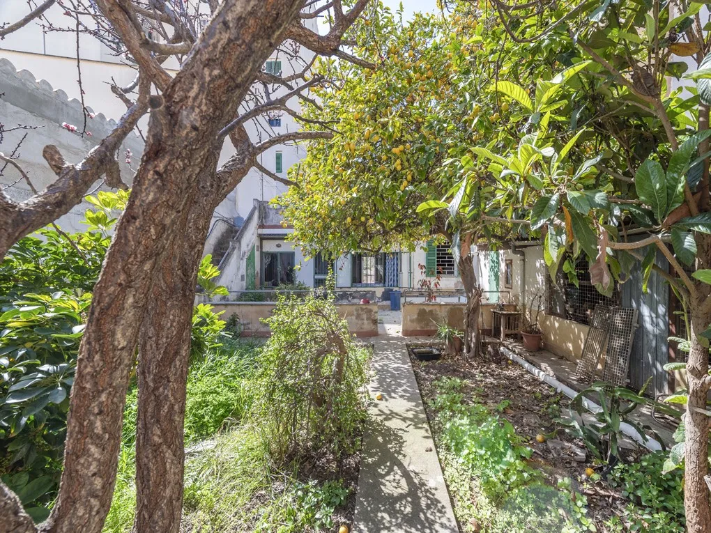 House to renovate or building plot-4